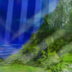 vhs dream 0228