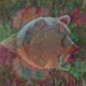 vhs dream 0228
