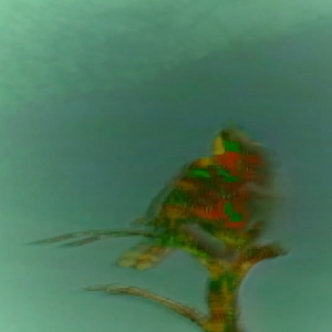 vhs dream 0228