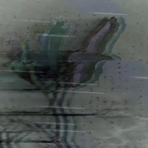 vhs dream 0228