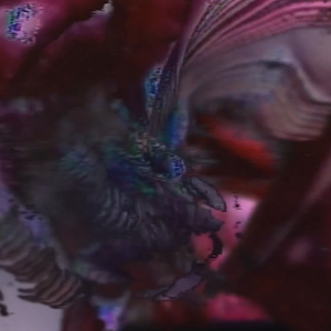 vhs dream 0228