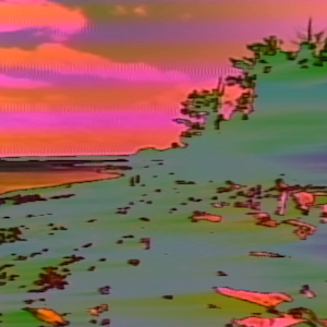 vhs dream 0228