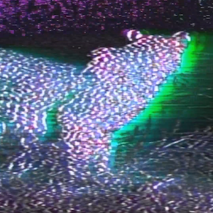 vhs dream 0228