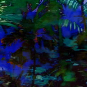 vhs dream 0228