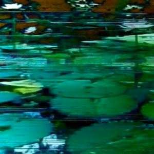 vhs dream 0228