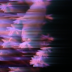 vhs dream 0228