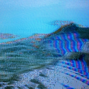 vhs dream 0228