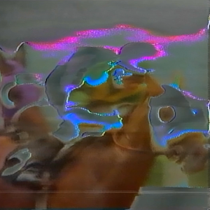 vhs dream 0228