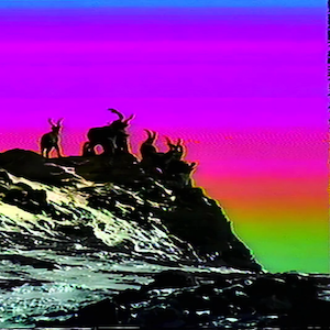 vhs dream 0228